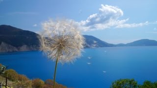 Beautiful Kefalonia by Anna [upl. by Shelba]