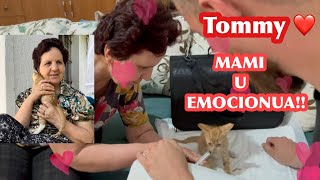 EMOCIONALE SURPRIZA PER MAMINPJESTARI ME I RI I FAMILJES [upl. by Itraa]