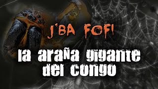 Jba Fofi La araña gigante del Congo [upl. by Ecnaret]