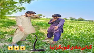 sanke video naag jogi  FiazJogi caught the big King Cobra snake cobrahub66 [upl. by Ellenrahc308]