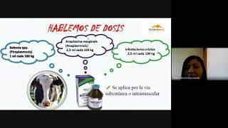 IDOCARB12  Solución inyectable para el tratamiento y prevención de anaplasmosis y piroplasmosis [upl. by Hadwin]