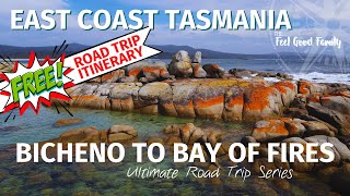 Bicheno to Bay of Fires Free Campsites on North East Tasmania [upl. by Avle332]