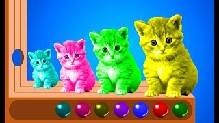 Learn Colors With Cute Kitten Cat Colours Animation Education Cartoon for Kids [upl. by Iraam]