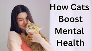 Benefits of Having a Cat How Cats Boost Mental Health [upl. by Ylyl346]