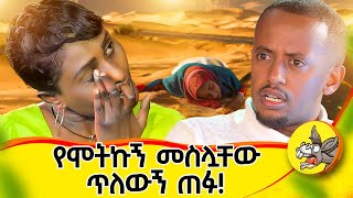 እንዳይመጣብኝ ያልኩትን ልጅ ቀስ በቀስ ምግቡንም ጨዋታውንም እናፍቅለት ጀመር የእየሩሳሌምlifestyle comedianeshetu ethiopia 2024 [upl. by Pancho]