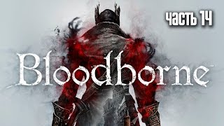 Прохождение Bloodborne — Часть 14 Босс Миколаш Хозяин Кошмара Micolash Host of the Nightmare [upl. by Oiznun711]