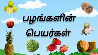 Fruits  பழங்களின் பெயர்கள்  Learn Fruits name in Tamil  palangal peyargal  Learn About Fruits [upl. by Adnamma]