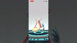 Feebas to Milotic pokemon go legendary pokemon [upl. by Catrina289]