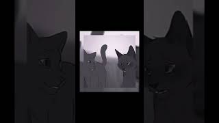 Gray WingSlate Edit • Credits In Description warriorcats edit warriors art sad cats cat [upl. by Dusza]