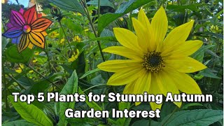 Top 5 Plants for Stunning Autumn Garden Interest [upl. by Tranquada]