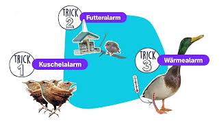 Wieso Vögel im Winter nicht frieren – logo erklärt – ZDFtivi [upl. by Pallaten]