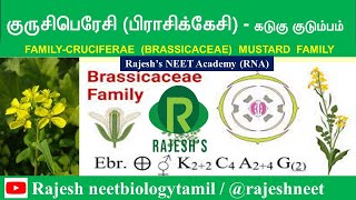 Cruciferae  Brassicaceae  Mustard Family  Rajesh NEET Academy RNA  rajeshneet  RNBT  RNA [upl. by Any]