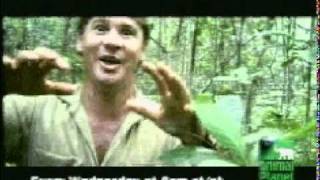 Steve Irwin intro [upl. by Ynnad366]