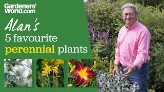 Five plants that look good year after year  Alans top perennials [upl. by Dadivitan]