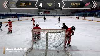 Copper Park Hoppers vs Redmont Redwings Game Highlights [upl. by Palocz799]