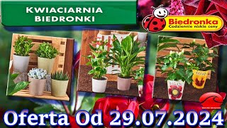 𝐁𝐈𝐄𝐃𝐑𝐎𝐍𝐊𝐀🐞Kwiaciarnia Biedronki Nowa Oferta Od 29072024 Kwiatowe Inspiracje Biedronki Tanie Kwiaty [upl. by Yecniuq337]