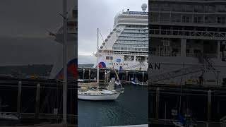 Clipper Race 2024 and giant Cruise Ship norwegiancruises cruiseship [upl. by Aielam520]