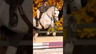 Who’s excited for Maclay Finals horse equestrianjourney [upl. by Haimes]