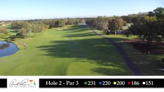 Bay Hill Hole 2 Flyover [upl. by Kenta106]