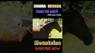 Man vs Wild in hindi Sierra Nevada Mountain New Video bear discovery manvswildinhindi shorts [upl. by Ede801]