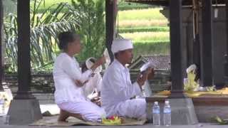 Galungan Festival on Bali [upl. by Llain]