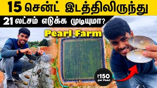 15 சென்ட் இடத்திலிருந்து 21 லட்சம்💸 எடுக்க முடியுமா🤑 🦪 Pearl Farming in Tamil  முத்து வளர்ப்பு [upl. by Adis101]