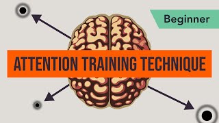 Attention Training Technique in MCT Beginner 3  series 2 [upl. by Groves]