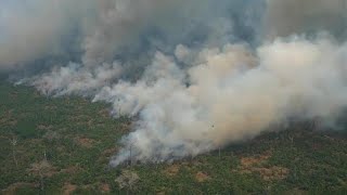 Trauriger Rekord AmazonasRegenwald schrumpft immer schneller [upl. by Haukom]