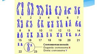 Aula 2 8 ano biologia Cromatina e cromossomos com audio [upl. by Jadwiga]