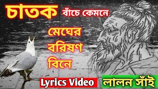 চাতক বাঁচে কেমনে মেঘের বরিষণ বিনে। Lyrics Video লালন সাঁই। Chatok bache kemone  Lalon shah [upl. by Mulry296]