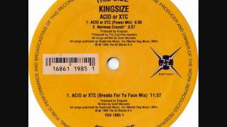 Kingsize  Acid or XTC Breaks For Ya Face Mixwmv [upl. by Araiek]