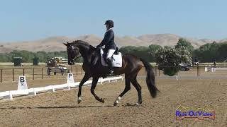 013D Taren Hoffos on Regalla Intermediate Dressage Twin Rivers Ranch June 2024 [upl. by Gentes]