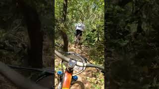 shorts 237  VTT MTB DH ENDURO RIDING [upl. by Tymes91]