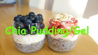 CHIA PUDDING selber machen  CHIA GEL REZEPT  einfach schnell gesund und lecker [upl. by Richia]