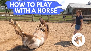 HOW TO PLAY WITH A HORSE [upl. by Eittod879]