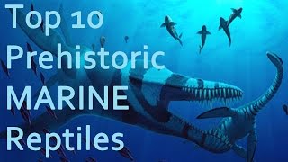 Top 10 Prehistoric MARINE Reptiles [upl. by Agamemnon]