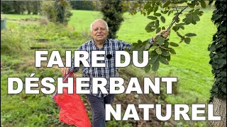 FABRIQUER son DESHERBANT  feuilles de noyer 🌱 100 ÉCOLOGIQUE [upl. by Osrock]