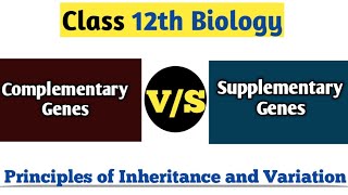 Difference Between Complementary Gene amp Supplementary Gene  Principles of Inheritance And Variation [upl. by Inaniel]