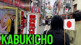 Japan’s most dangerous area Touring the Red light district of Kabukicho [upl. by Nodnyl]