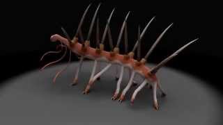 Hallucigenia sparsa reconstruction I [upl. by Ahcsat549]