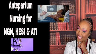 Antepartum Nursing [upl. by Ahsinauj]