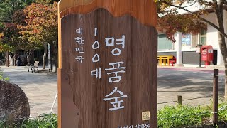 동해시 무릉계곡 대한민국 100대 명품숲 입간판 설치 [upl. by Rotce]