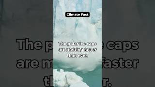 The polar ice caps are melting faster than ever facts climatechange shorts [upl. by Bouldon381]