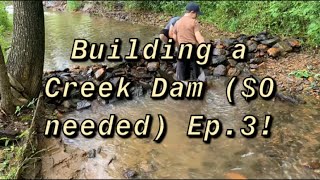 Building a Creek Dam 0 Needed Ep3 [upl. by Annhej190]