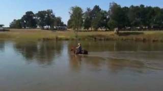 Horse and Rider in the pond Borregos First Swim [upl. by Philbo]