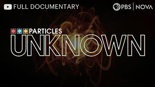 Particles Unknown Hunting Neutrinos  Full Documentary  NOVA  PBS [upl. by Gianina]