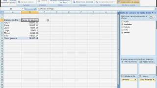 Tablas Dinamicas Excel 2007 [upl. by Lilyan333]