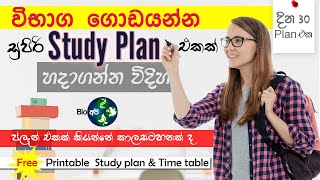 Study Plan එකක් හදන්නේ මෙහෙමයි  How to make Time Table and Study Plan  30 days Tips from Bio Api [upl. by Kennet]