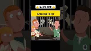 Amazing facts amazingfacts facts fact shorts youtubeshorts story status trending [upl. by Matt803]