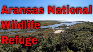 aransas national wildlife refuge [upl. by Honor]